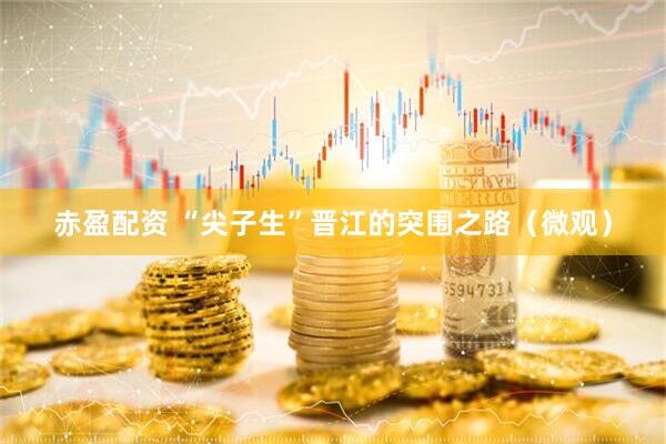 赤盈配资 “尖子生”晋江的突围之路（微观）